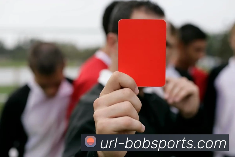 BOB平台APP 封面图